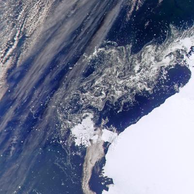 Antarctica
