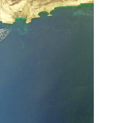 Arabian Sea