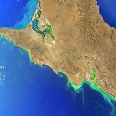 Central Baja