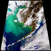 Coccoliths brighten the waters of the Bering Sea
