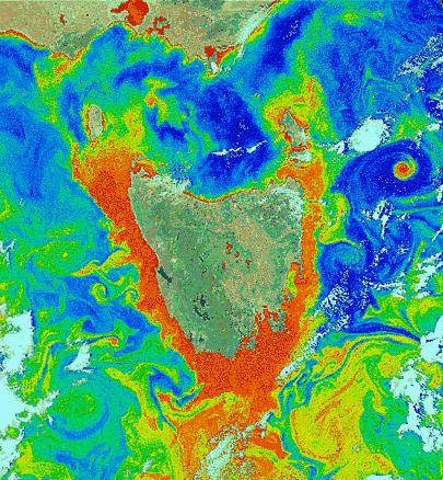 CZCS image of Tasmania