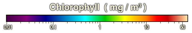 chlorophyll color scale