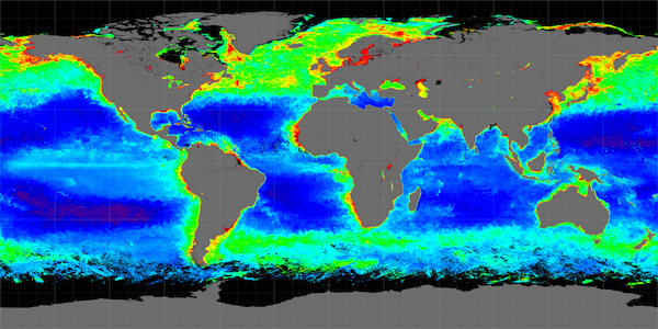 Global chlorophyll map from MODIS Aqua