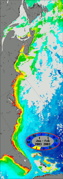 western North Atlantic chlorophyll image