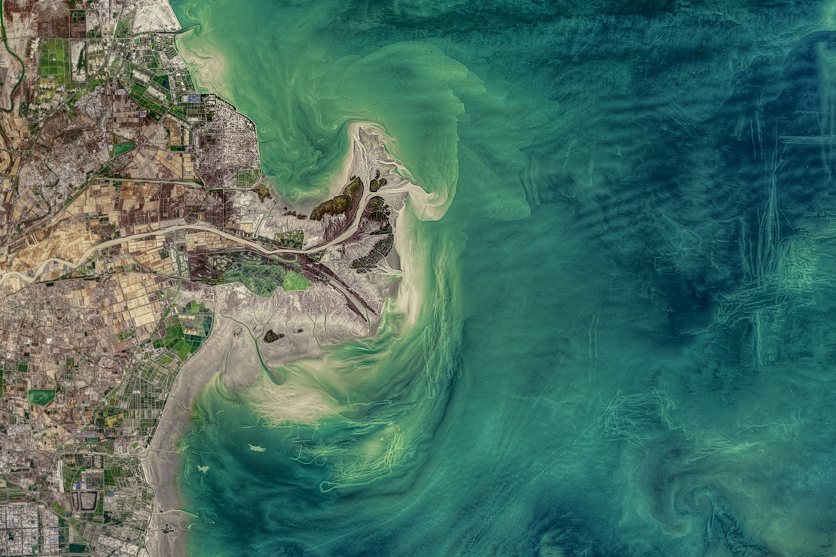 Click to see a larger version of the image.