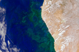 Benguela current