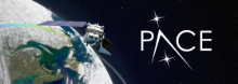 PACE Store