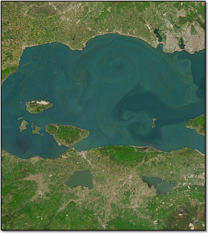 Phytoplankton in the Sea of Marmara