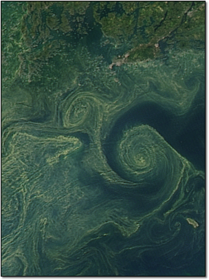 click for a broader view