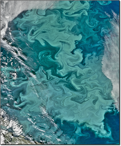 Barents Sea
