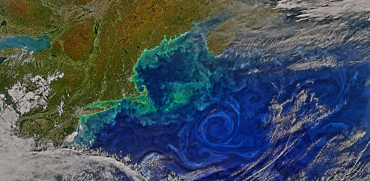 Gulf Stream Eddies and the Gulf of Maine