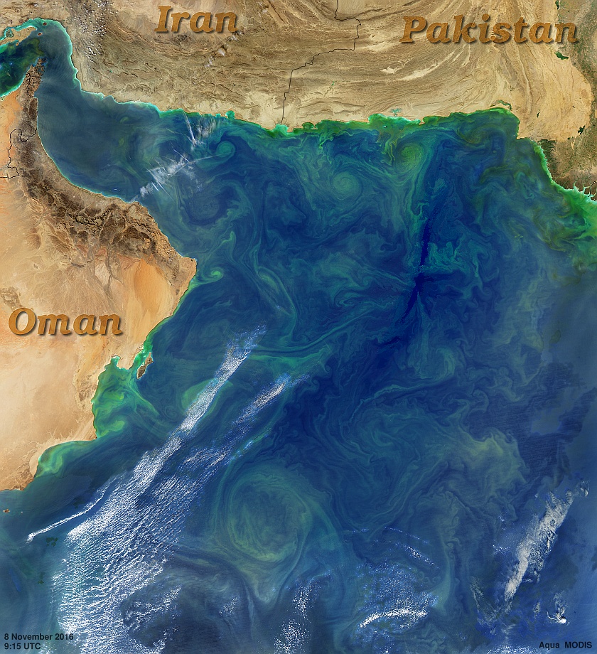 Northwest Arabian Sea