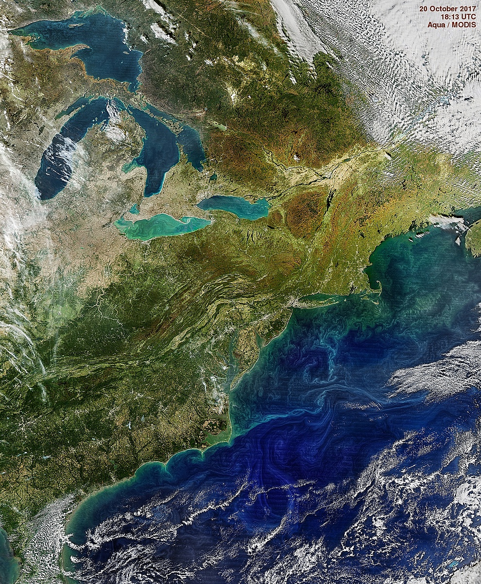 Photosynthetic Pigments by Land and Sea