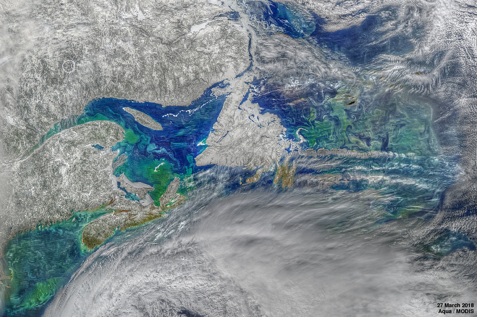 Early Spring in the Northwest Atlantic