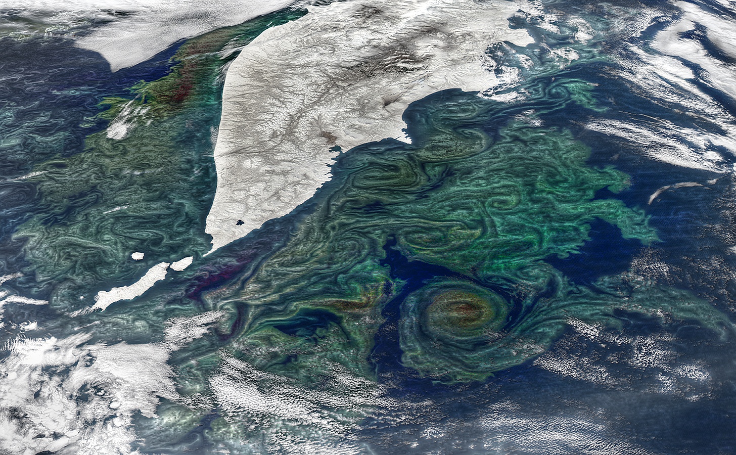 Phytoplankton Around the Kamchatka Peninsula