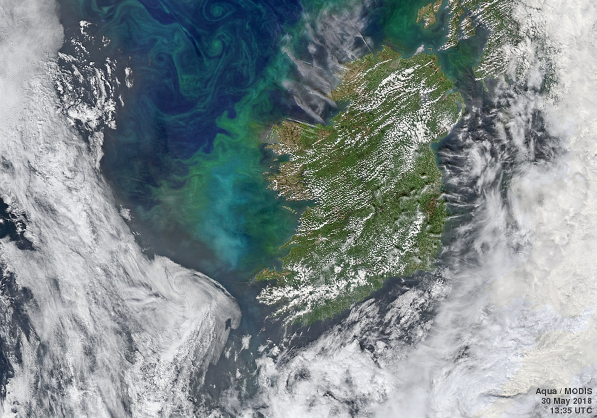 Celtic Phytoplankton
