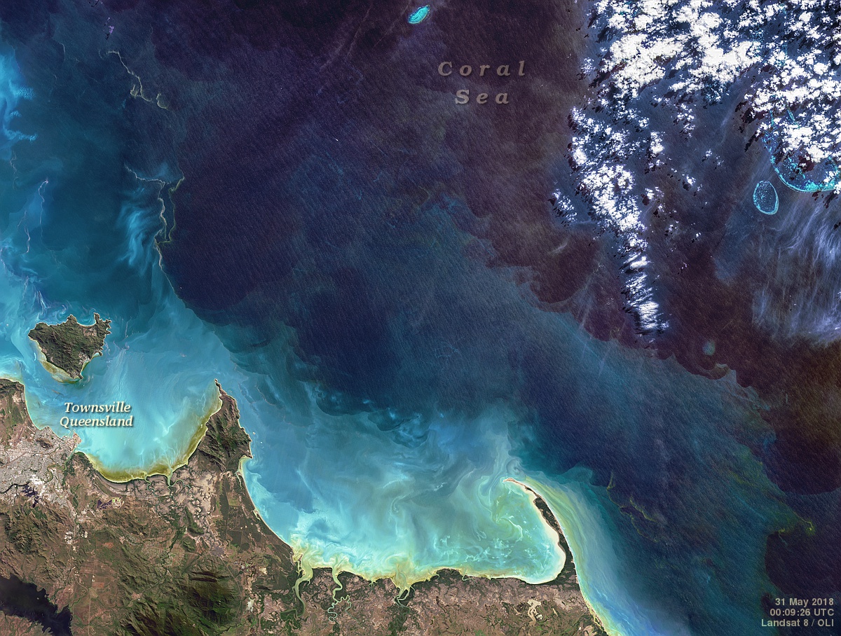 Fall Blooms off the Queensland Coast