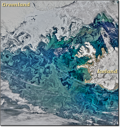 Mid June in the North Atlantic