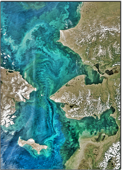The Bering and Chukchi Seas