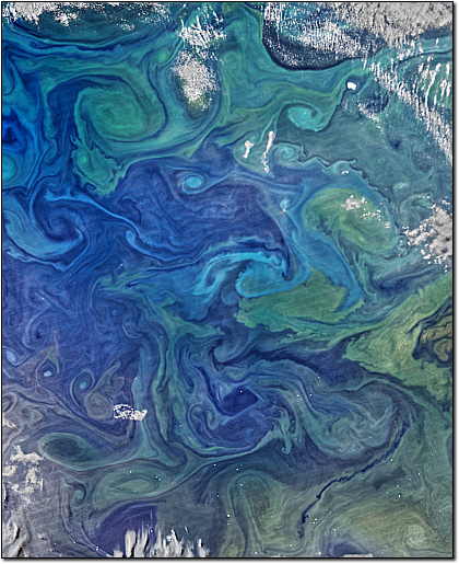 Springtime in the South Atlantic