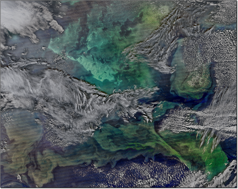 Springtime on the Grand Banks