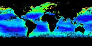 Reprocessing #3 Global Chlorophyll image