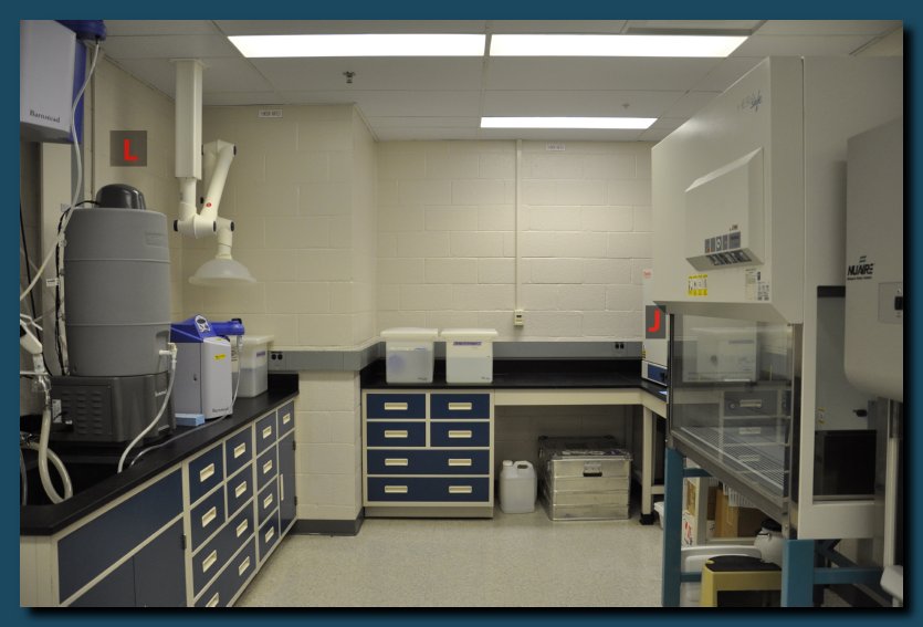 Image of Ocean Ecology Lab
