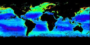 Monthly Chlorophyll global image
