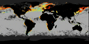 Monthly Chlorophyll ratio image
